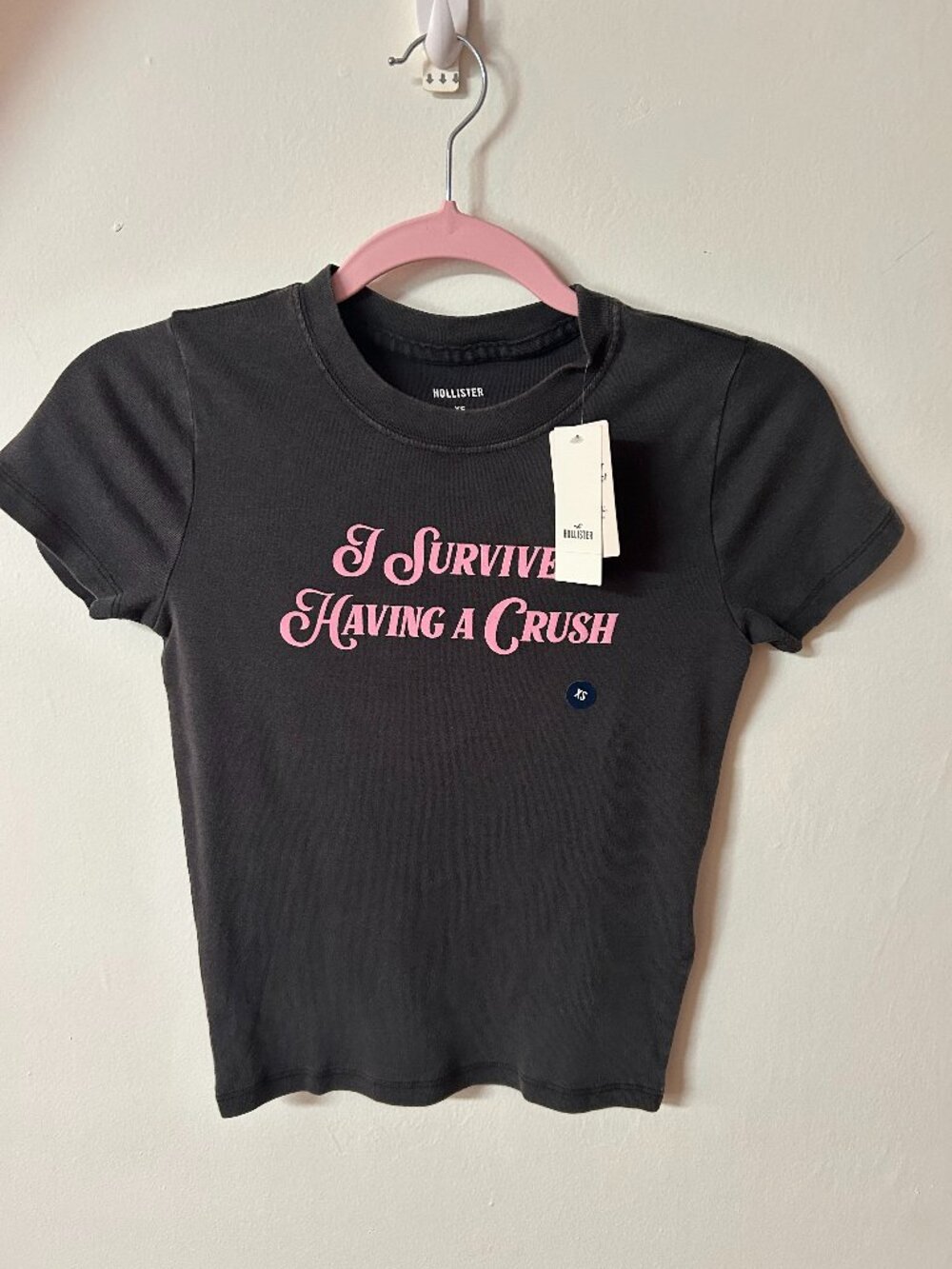NWT Hollister "I Survived Having a Crush" Baby Tee | XS | Graphic T-Shirt